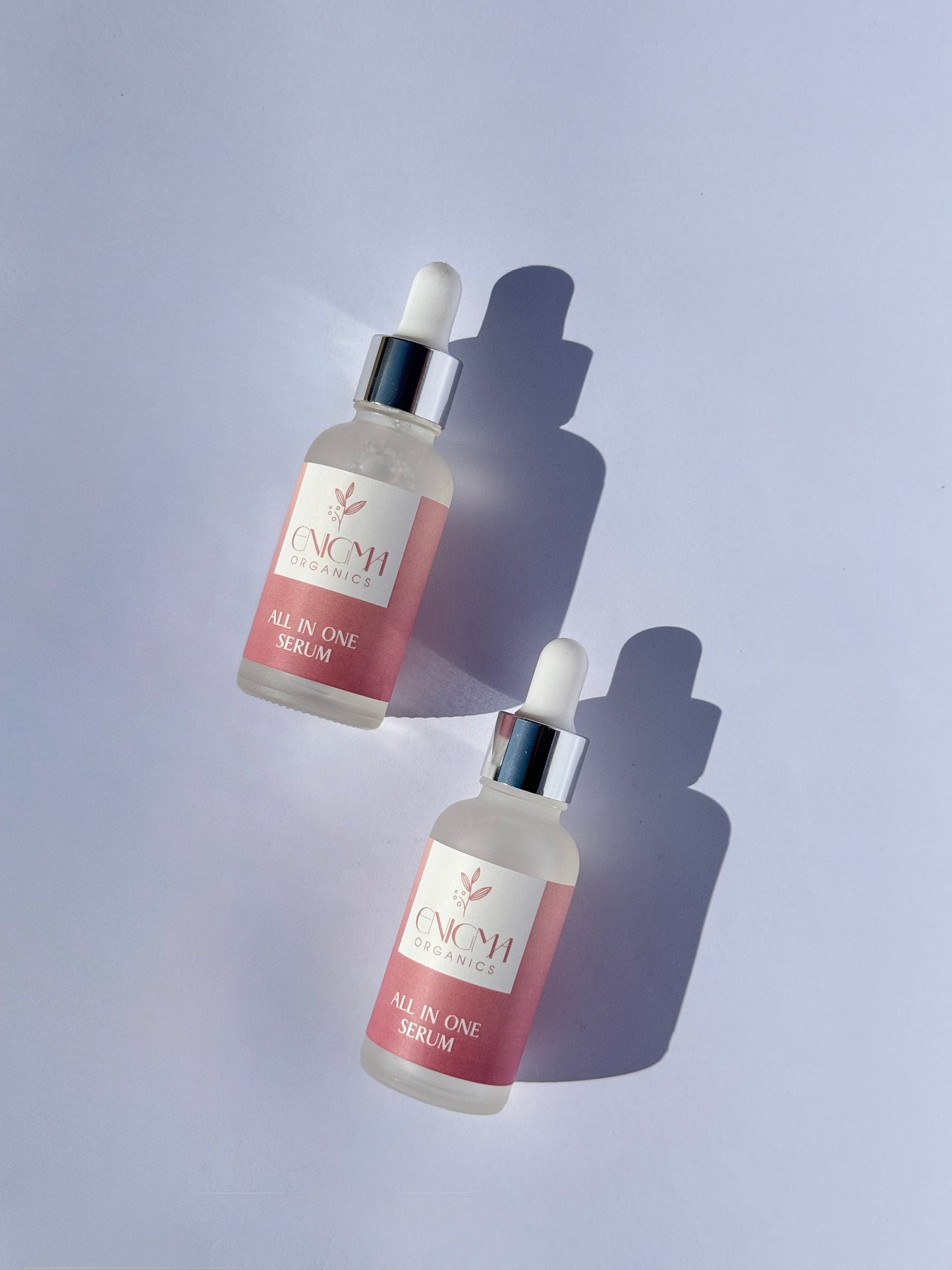 The All-in-One Skin Perfector